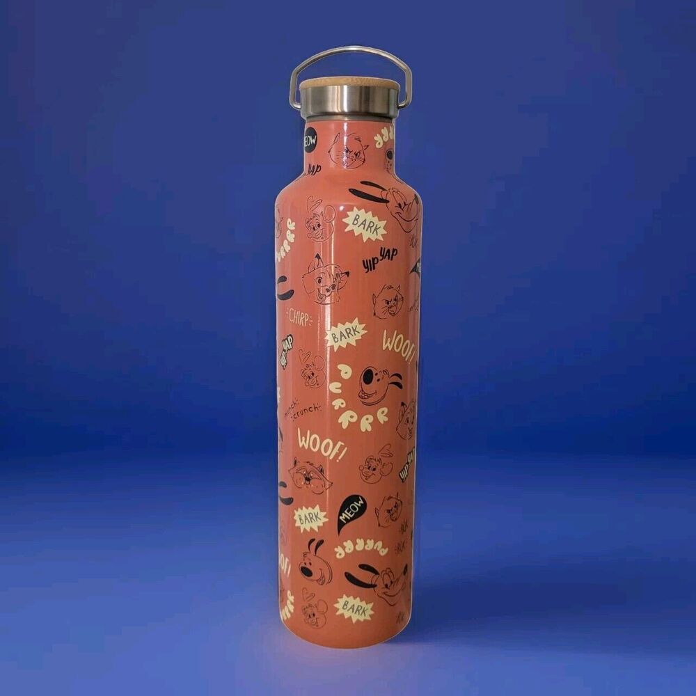 Disney Parks Critter Chaos Stainless Steel Water Bottle Meeko Pluto 34 Oz